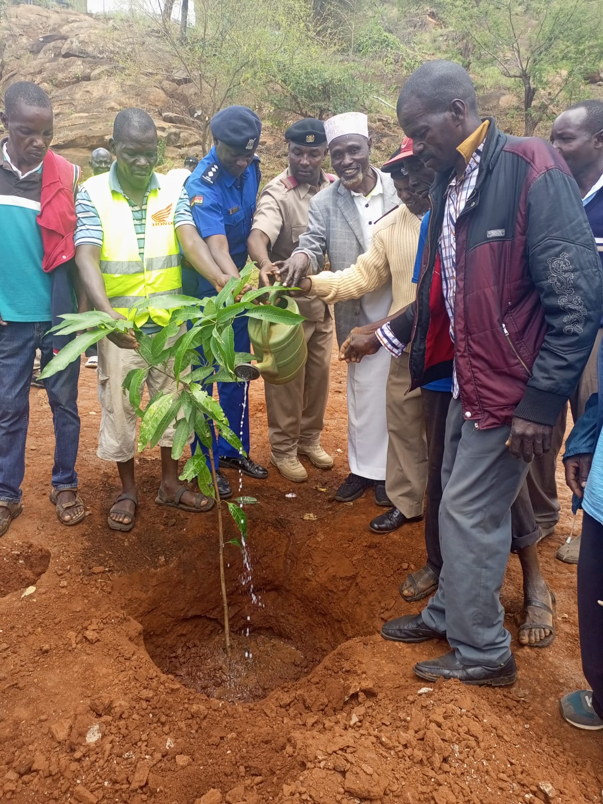 K-CFA community tree planting